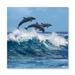DecorumBY Dolphin Play - Unframed Photograph Metal in White | 36 H x 36 W x 1.5 D in | Wayfair Abstract Art - "Dolphin Play" AL SQ36x36