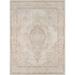 Momeni Isabella Vintage Traditional Medallion Area Rug