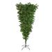 5.5' Medium Spruce Upside Down Artificial Christmas Tree Clear Lights - 5.5 Foot