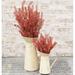 Bursting Astilbe Bush 21" Sangria - 21" high by 7" wide