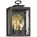 Troy Lighting Randolph Outdoor Wall Sconce - B6443-VBZ