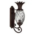 Hinkley Plantation Medium Outdoor Wall Sconce - 2220CB