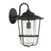 Capital Lighting Creekside Caged Outdoor Wall Sconce - 9602OB