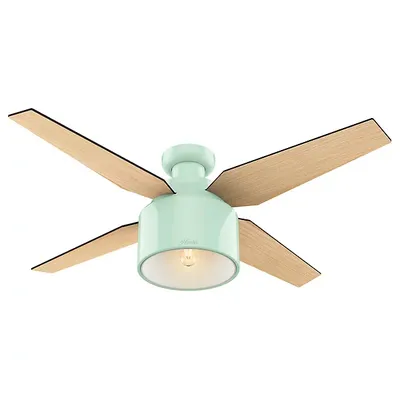 Hunter Fans Cranbrook Low Profile Ceiling Fan