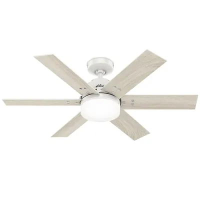 Hunter Fans Pacer LED Ceiling Fan