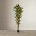 Mistana™ Artificial Bamboo Tree in Pot Silk/Plastic in Black | 72 H x 35 W x 35 D in | Wayfair E8D4E087ECAE4895AD2DE765FBD99198