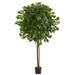 6.5' Ficus Artificial Tree - h: 6.5 ft. w: 12 in. d: 12 in