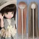 Perruque de Cheveux Longs en Fibre de Haute Température Accessoires de Jeu 12 Pouces 1/6 BJD/SD