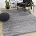 Gray 59 x 32 x 1.18 in Area Rug - Latitude Run® Oriental Area Rug Metal | 59 H x 32 W x 1.18 D in | Wayfair 9DCC20F0C5714A7180AA66DFD6F4DD6C