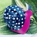 Kate Spade Accessories | Kate Spade Snail Enchanted Zip Coin Purse Polka | Color: Blue/Pink | Size: Os