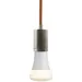 Visual Comfort Modern SoCo Modern Socket Pendant Light - 700TDSOCOPM08PS