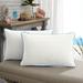 Longshore Tides Hillsboro Outdoor Rectangular Pillow Cover & Insert Polyester/Polyfill/Sunbrella®/Acrylic | 13 H x 20 W x 6 D in | Wayfair