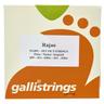 Galli Strings FG005 Rajao Strings