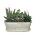 7.5 Inch Artifical Succulent Garden- Jeco Wholesale HD-BT028