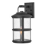 Hinkley Lighting Lakehouse 17 Inch Tall LED Outdoor Wall Light - 2684BK-LV