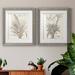 Bay Isle Home™ Sepia Exotic Plants III - 2 Piece Picture Frame Painting Print Set on Paper in White | 24 H x 36 W x 1.5 D in | Wayfair