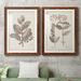 August Grove® Antique Sepia Botanicals V - 2 Piece Picture Frame Painting Print Set on Paper in Black/Blue/Green | 1.5 D in | Wayfair