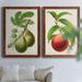 August Grove® Antique Fruit IV - 2 Piece Picture Frame Painting Print Set on Canvas Canvas, in Black/Blue/Green | 37.5 H x 55 W x 1.5 D in | Wayfair