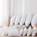 Alwyn Home Conley Medium Support Pillow Polyester/Polyfill/Polyester | 12 H x 24 W in | Wayfair 0D561AAD68984A73B36D7FCAEEC247D6