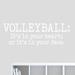 Harriet Bee Volleyball Heart Wall Decal Vinyl in White | 16 H x 48 W x 0.5 D in | Wayfair 16DA4C21D2B14672A1512373ABE92585