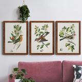 Red Barrel Studio® Antique Bird, Botanical & Egg I - 3 Piece Picture Frame Painting Set on Canvas in Black/Blue/Green | 100 H x 94.5 W in | Wayfair