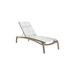 Tropitone Laguna Beach EZ Span™ 81.5" Long Reclining Single Chaise Metal in Brown | 39.5 H x 31 W x 81.5 D in | Outdoor Furniture | Wayfair