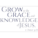 2 Peter 3:18 - Grow in the grace and knowledge... Vinyl Decal Sticker Quote - Small - Steel Blue