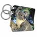 3dRose Koala bear, Australia, eucalyptus tree - SA01 KSC0000 - Kevin Schafer - Key Chains, 2.25 by 2.25-inch, set of 2