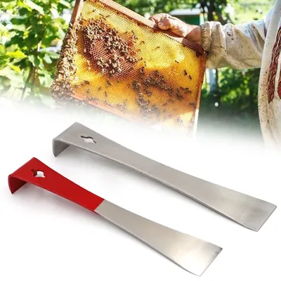 Couteau grattoir pour apiculture en acier inoxydable pour prendre le couteau à miel équipement