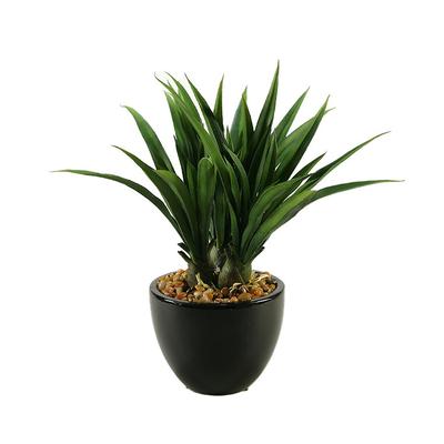 Green Lily Grass in Ceramic Bowl - Frontgate