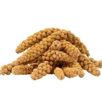 4 kg Lyra Pet Kolbenhirse gelb Image