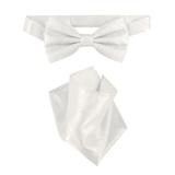 Vesuvio Napoli BowTie Off-White Paisley Color Mens Bow Tie & Handkerchief