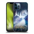 Head Case Designs Officially Licensed Harry Potter Prisoner Of Azkaban II Stag Patronus Hard Back Case Compatible with Apple iPhone 12 Pro Max