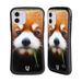 Head Case Designs Wildlife Red Panda Hybrid Case Compatible with Apple iPhone 11