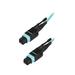 StarTech.com MPO12PL1M MTP Fiber Optic Cable - 3 ft / 1m - OM3 - 40Gb - Push / Pull Tab - Plenum - MPO / MTP Connector - Fiber Patch Cable