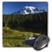 3dRose Mount Rainier in Reflection Lake paintbrush - US48 JWI1171 - Jamie and Judy Wild Mouse Pad 8 by 8 inches