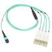 CableWholesale MPLC-31050 Plenum Fiber Optic Cable 40 Gigabit Ethernet QSFP 40GBase-SR4 to MTP & LC 24 in. Breakout Cable OM3 50 by 125 50 m