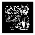 DistinctInk Custom Bumper Sticker - 4 x 4 Decorative Decal - Black Background - Cats Never Strike a Pose not Photogenic