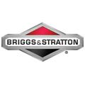 Briggs & Stratton OEM 7102573YP replacement grass bag 22 rear