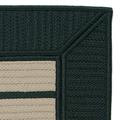 3.5 x 5.5 Pine Green and Beige All Purpose Handcrafted Reversible Rectangular Area Throw Rug