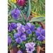 Toland Home Garden Flowerpots N Pansies Flowers Flower Flag Double Sided 12x18 Inch