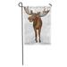 KDAGR Brown Elk of Moose Head Endangered Adorable Alces Carnivore Garden Flag Decorative Flag House Banner 28x40 inch