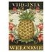 Toland Home Garden Beige and Brown Pineapple Scrolls Virginia Outdoor Garden Flag 18 x 12.5