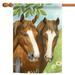 Toland Home Garden Twin Horses Spring Flag Double Sided 28x40 Inch