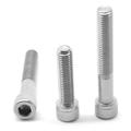 M2 x 0.40 x 6 MM (FT) Coarse Thread Socket Head Cap Screw Stainless Steel 18-8 Pk 500