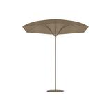 Tropitone Trace 9'2" Market Sunbrella Umbrella in Brown | 99.75 H in | Wayfair KH009PSV_MOC_GOLD COAST