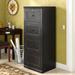 World Menagerie Didier 4-Drawer Vertical Filing Cabinet Wood in Black | 54.5 H x 18.25 W x 22 D in | Wayfair WLDM8177 40131284