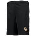 Florida State Seminoles Nike Youth Logo Fly Performance - Black