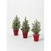 The Holiday Aisle® Norb 12" H/Red Pine Cashmere Christmas Tree & Ball Ornaments in Green | 5 W x 5 D in | Wayfair BFF5344006CB4853913FB162CBD3ABBE