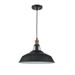 August Grove® Glenover 1 - Light Single Dome Pendant Metal in Black | 9.84 H x 15.35 W x 15.35 D in | Wayfair 84DFB58CEE6B4504B8E7A8720E6B1BE5